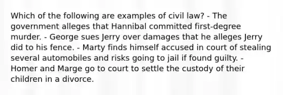 Which of the following are examples of civil law? - The government alleges that Hannibal committed first-degree murder. - George sues Jerry over damages that he alleges Jerry did to his fence. - Marty finds himself accused in court of stealing several automobiles and risks going to jail if found guilty. - Homer and Marge go to court to settle the custody of their children in a divorce.