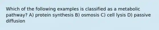 Which of the following examples is classified as a metabolic pathway? A) protein synthesis B) osmosis C) cell lysis D) passive diffusion