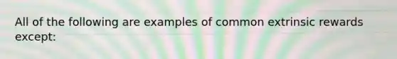 All of the following are examples of common extrinsic rewards except: