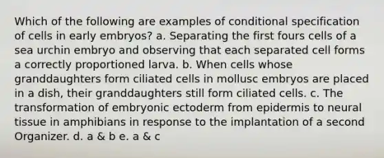 Which of the following are examples of conditional specification of cells in early embryos? a. Separating the first fours cells of a sea urchin embryo and observing that each separated cell forms a correctly proportioned larva. b. When cells whose granddaughters form ciliated cells in mollusc embryos are placed in a dish, their granddaughters still form ciliated cells. c. The transformation of embryonic ectoderm from epidermis to neural tissue in amphibians in response to the implantation of a second Organizer. d. a & b e. a & c