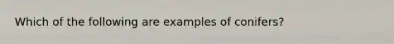 Which of the following are examples of conifers?