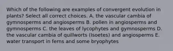 Which of the following are examples of convergent evolution in plants? Select all correct choices. A. the vascular cambia of gymnosperms and angiosperms B. pollen in angiosperms and gymnosperms C. the leaves of lycophytes and gymnosperms D. the vascular cambia of quillworts (Isoetes) and angiosperms E. water transport in ferns and some bryophytes