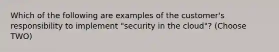 Which of the following are examples of the customer's responsibility to implement "security in the cloud"? (Choose TWO)