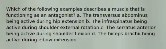 Which of the following examples describes a muscle that is functioning as an antagonist? a. The transversus abdominus being active during hip extension b. The infraspinatus being active during shoulder external rotation c. The serratus anterior being active during shoulder flexion d. The biceps brachii being active during elbow extension