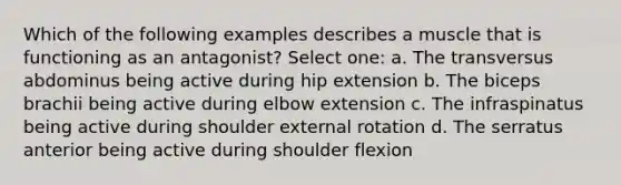 Which of the following examples describes a muscle that is functioning as an antagonist? Select one: a. The transversus abdominus being active during hip extension b. The biceps brachii being active during elbow extension c. The infraspinatus being active during shoulder external rotation d. The serratus anterior being active during shoulder flexion