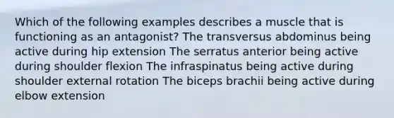 Which of the following examples describes a muscle that is functioning as an antagonist? The transversus abdominus being active during hip extension The serratus anterior being active during shoulder flexion The infraspinatus being active during shoulder external rotation The biceps brachii being active during elbow extension