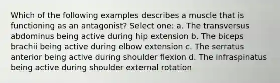 Which of the following examples describes a muscle that is functioning as an antagonist? Select one: a. The transversus abdominus being active during hip extension b. The biceps brachii being active during elbow extension c. The serratus anterior being active during shoulder flexion d. The infraspinatus being active during shoulder external rotation