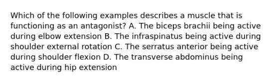 Which of the following examples describes a muscle that is functioning as an antagonist? A. The biceps brachii being active during elbow extension B. The infraspinatus being active during shoulder external rotation C. The serratus anterior being active during shoulder flexion D. The transverse abdominus being active during hip extension