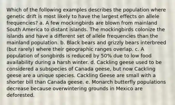 Which of the following examples describes the population where genetic drift is most likely to have the largest effects on allele frequencies? a. A few mockingbirds are blown from mainland South America to distant islands. The mockingbirds colonize the islands and have a different set of allele frequencies than the mainland population. b. Black bears and grizzly bears interbreed (but rarely) where their geographic ranges overlap. c. A population of songbirds is reduced by 50% due to low food availability during a harsh winter. d. Cackling geese used to be considered a subspecies of Canada geese, but now Cackling geese are a unique species. Cackling Geese are small with a shorter bill than Canada geese. e. Monarch butterfly populations decrease because overwintering grounds in Mexico are deforested.