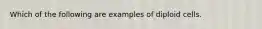 Which of the following are examples of diploid cells.