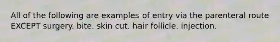 All of the following are examples of entry via the parenteral route EXCEPT surgery. bite. skin cut. hair follicle. injection.