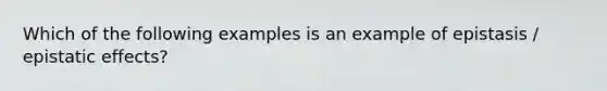 Which of the following examples is an example of epistasis / epistatic effects?