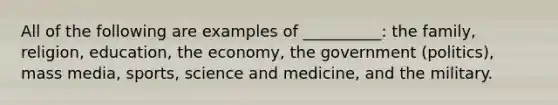 All of the following are examples of __________: the family, religion, education, the economy, the government (politics), mass media, sports, science and medicine, and the military.