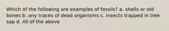 Which of the following are examples of fossils? a. shells or old bones b. any traces of dead organisms c. insects trapped in tree sap d. All of the above