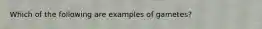 Which of the following are examples of gametes?