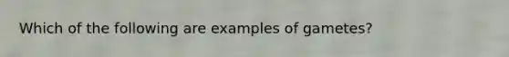 Which of the following are examples of gametes?