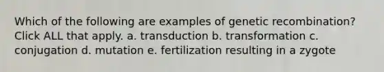 Which of the following are examples of genetic recombination? Click ALL that apply. a. transduction b. transformation c. conjugation d. mutation e. fertilization resulting in a zygote