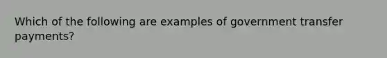 Which of the following are examples of government transfer payments?