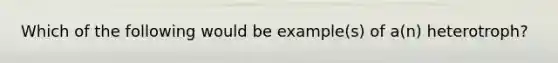 Which of the following would be example(s) of a(n) heterotroph?