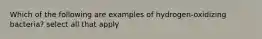 Which of the following are examples of hydrogen-oxidizing bacteria? select all that apply