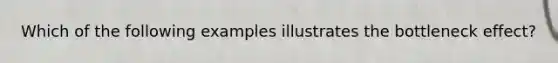 Which of the following examples illustrates the bottleneck effect?