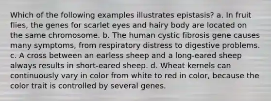 Which of the following examples illustrates epistasis? a. In fruit flies, the genes for scarlet eyes and hairy body are located on the same chromosome. b. The human cystic fibrosis gene causes many symptoms, from respiratory distress to digestive problems. c. A cross between an earless sheep and a long-eared sheep always results in short-eared sheep. d. Wheat kernels can continuously vary in color from white to red in color, because the color trait is controlled by several genes.