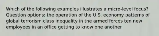 Which of the following examples illustrates a micro-level focus? Question options: the operation of the U.S. economy patterns of global terrorism class inequality in the armed forces ten new employees in an office getting to know one another