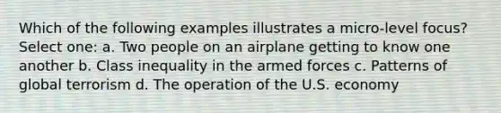 Which of the following examples illustrates a micro-level focus? Select one: a. Two people on an airplane getting to know one another b. Class inequality in the armed forces c. Patterns of global terrorism d. The operation of the U.S. economy