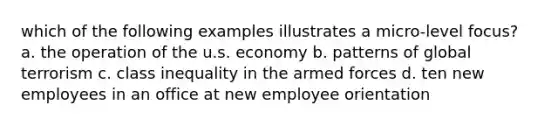 which of the following examples illustrates a micro-level focus? a. the operation of the u.s. economy b. patterns of global terrorism c. class inequality in the armed forces d. ten new employees in an office at new employee orientation