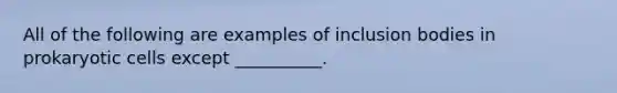 All of the following are examples of inclusion bodies in prokaryotic cells except __________.