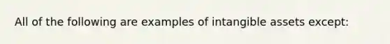 All of the following are examples of intangible assets except: