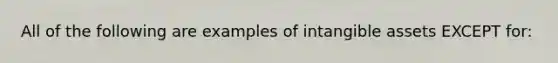 All of the following are examples of intangible assets EXCEPT for: