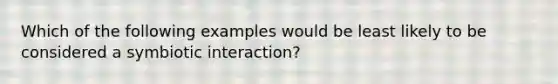 Which of the following examples would be least likely to be considered a symbiotic interaction?