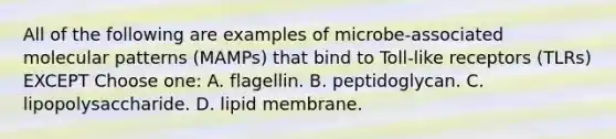 All of the following are examples of microbe-associated molecular patterns (MAMPs) that bind to Toll-like receptors (TLRs) EXCEPT Choose one: A. flagellin. B. peptidoglycan. C. lipopolysaccharide. D. lipid membrane.