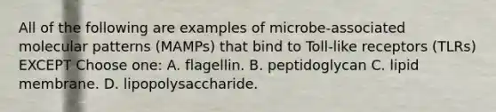 All of the following are examples of microbe-associated molecular patterns (MAMPs) that bind to Toll-like receptors (TLRs) EXCEPT Choose one: A. flagellin. B. peptidoglycan C. lipid membrane. D. lipopolysaccharide.