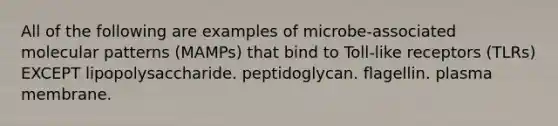 All of the following are examples of microbe-associated molecular patterns (MAMPs) that bind to Toll-like receptors (TLRs) EXCEPT lipopolysaccharide. peptidoglycan. flagellin. plasma membrane.