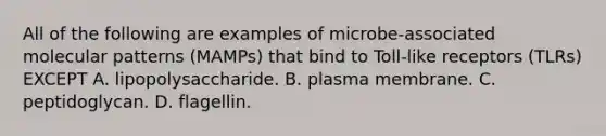 All of the following are examples of microbe-associated molecular patterns (MAMPs) that bind to Toll-like receptors (TLRs) EXCEPT A. lipopolysaccharide. B. plasma membrane. C. peptidoglycan. D. flagellin.