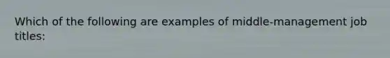 Which of the following are examples of middle-management job titles: