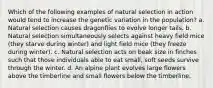 Which of the following examples of natural selection in action would tend to increase the genetic variation in the population? a. Natural selection causes dragonflies to evolve longer tails. b. Natural selection simultaneously selects against heavy field mice (they starve during winter) and light field mice (they freeze during winter). c. Natural selection acts on beak size in finches such that those individuals able to eat small, soft seeds survive through the winter. d. An alpine plant evolves large flowers above the timberline and small flowers below the timberline.