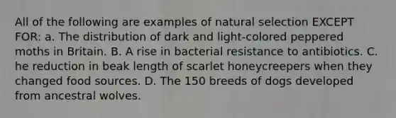 All of the following are examples of natural selection EXCEPT FOR: a. The distribution of dark and light-colored peppered moths in Britain. B. A rise in bacterial resistance to antibiotics. C. he reduction in beak length of scarlet honeycreepers when they changed food sources. D. The 150 breeds of dogs developed from ancestral wolves.