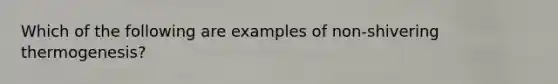 Which of the following are examples of non-shivering thermogenesis?