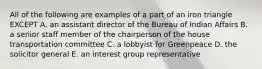 All of the following are examples of a part of an iron triangle EXCEPT A. an assistant director of the Bureau of Indian Affairs B. a senior staff member of the chairperson of the house transportation committee C. a lobbyist for Greenpeace D. the solicitor general E. an interest group representative