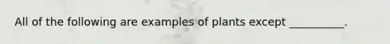 All of the following are examples of plants except __________.