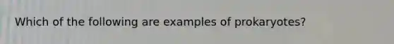 Which of the following are examples of prokaryotes?