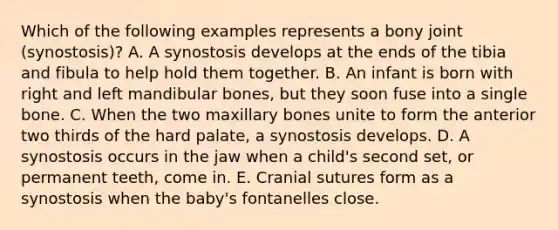 Which of the following examples represents a bony joint (synostosis)? A. A synostosis develops at the ends of the tibia and fibula to help hold them together. B. An infant is born with right and left mandibular bones, but they soon fuse into a single bone. C. When the two maxillary bones unite to form the anterior two thirds of the hard palate, a synostosis develops. D. A synostosis occurs in the jaw when a child's second set, or permanent teeth, come in. E. Cranial sutures form as a synostosis when the baby's fontanelles close.