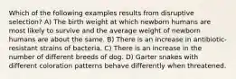 Which of the following examples results from disruptive selection? A) The birth weight at which newborn humans are most likely to survive and the average weight of newborn humans are about the same. B) There is an increase in antibiotic-resistant strains of bacteria. C) There is an increase in the number of different breeds of dog. D) Garter snakes with different coloration patterns behave differently when threatened.