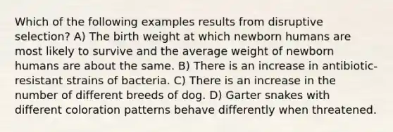 Which of the following examples results from disruptive selection? A) The birth weight at which newborn humans are most likely to survive and the average weight of newborn humans are about the same. B) There is an increase in antibiotic-resistant strains of bacteria. C) There is an increase in the number of different breeds of dog. D) Garter snakes with different coloration patterns behave differently when threatened.