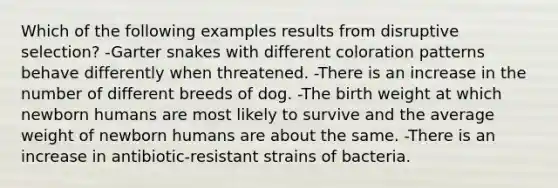 Which of the following examples results from disruptive selection? -Garter snakes with different coloration patterns behave differently when threatened. -There is an increase in the number of different breeds of dog. -The birth weight at which newborn humans are most likely to survive and the average weight of newborn humans are about the same. -There is an increase in antibiotic-resistant strains of bacteria.