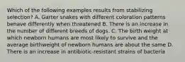 Which of the following examples results from stabilizing selection? A. Garter snakes with different coloration patterns behave differently when threatened B. There is an increase in the number of different breeds of dogs. C. The birth weight at which newborn humans are most likely to survive and the average birthweight of newborn humans are about the same D. There is an increase in antibiotic-resistant strains of bacteria