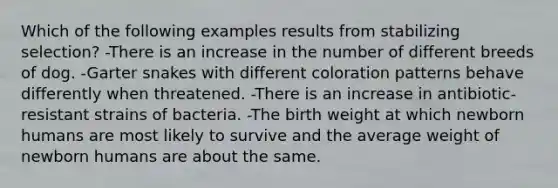 Which of the following examples results from stabilizing selection? -There is an increase in the number of different breeds of dog. -Garter snakes with different coloration patterns behave differently when threatened. -There is an increase in antibiotic-resistant strains of bacteria. -The birth weight at which newborn humans are most likely to survive and the average weight of newborn humans are about the same.